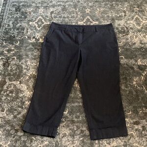 Ann Taylor Classic Denim Cropped Pants